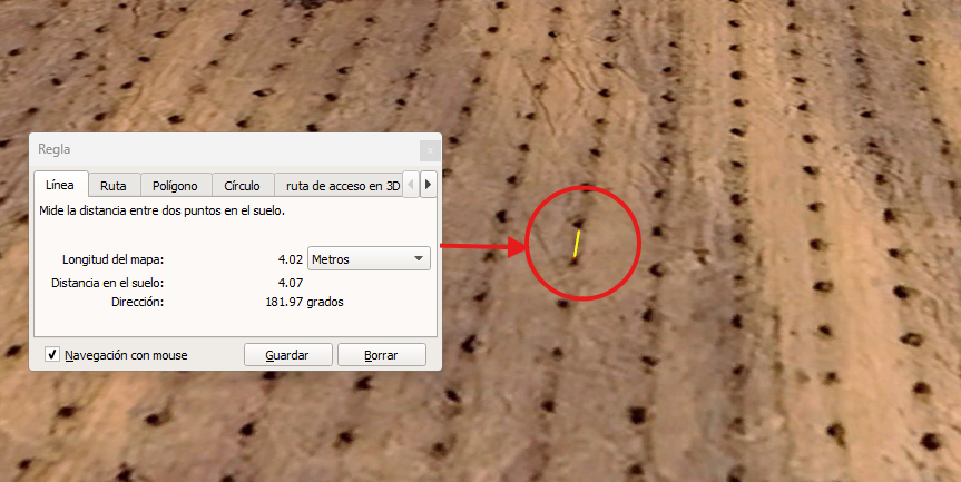 distancia entre plantas
